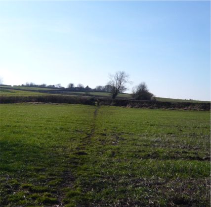field-path