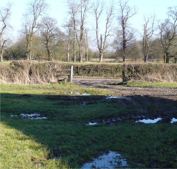 wet-path