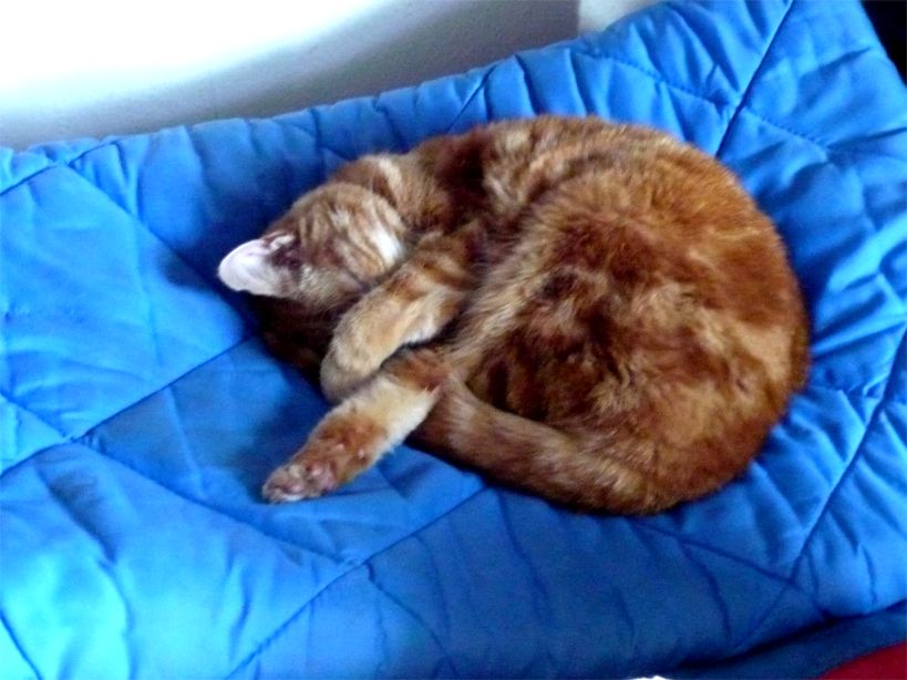 Don't Wake Me!